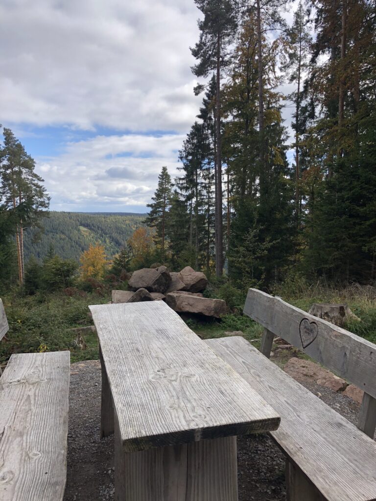 Hoch hinaus im Schwarzwald